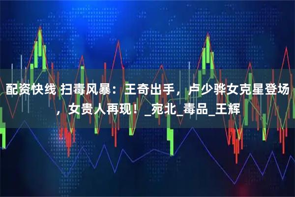 配资快线 扫毒风暴：王奇出手，卢少骅女克星登场，女贵人再现！_宛北_毒品_王辉